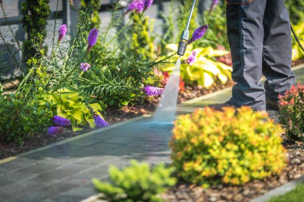 Best Parking Lot and Garage Cleaning  in Oak Ridge, FL
