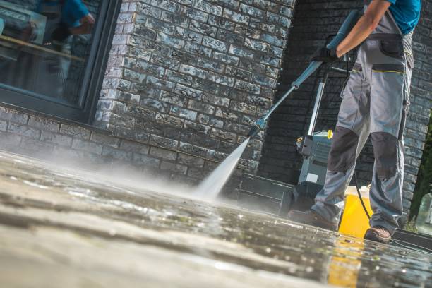 Best Driveway Pressure Washing  in Oak Ridge, FL
