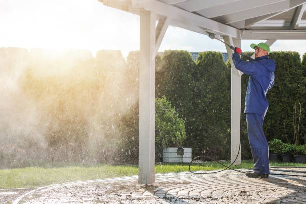 Best Boat and Dock Cleaning  in Oak Ridge, FL