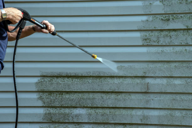 Best Solar Panel Cleaning  in Oak Ridge, FL
