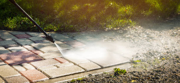 Best Graffiti Removal  in Oak Ridge, FL